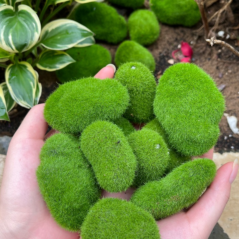 50/5 шт. Искусственные камни и – обзор и цена Bonsai Rock Garden